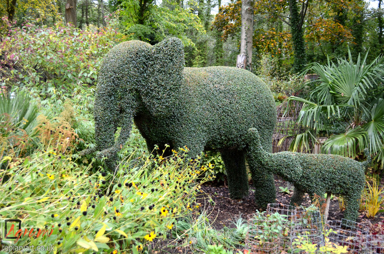 Topiary Elephants