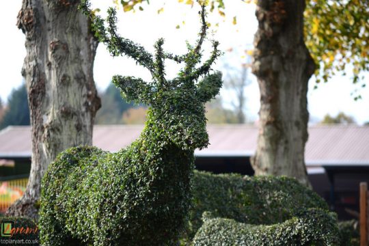 Topiary Stag