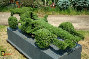 Topiary Formula 1 Race Car crafted from a wireframe covered in Ligustrum delavayanum.