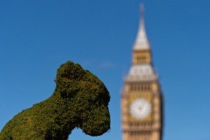 Monkey Topiary on Westminster Bridge