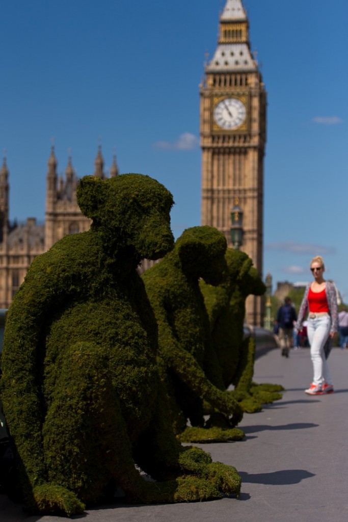 Monkey Topiary on Westminster Bridge