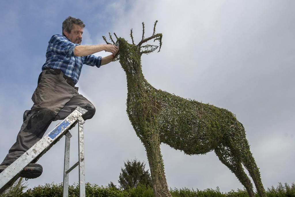 New Forest topiary artist Luigi Frosini adds the finishing touches to a stag.