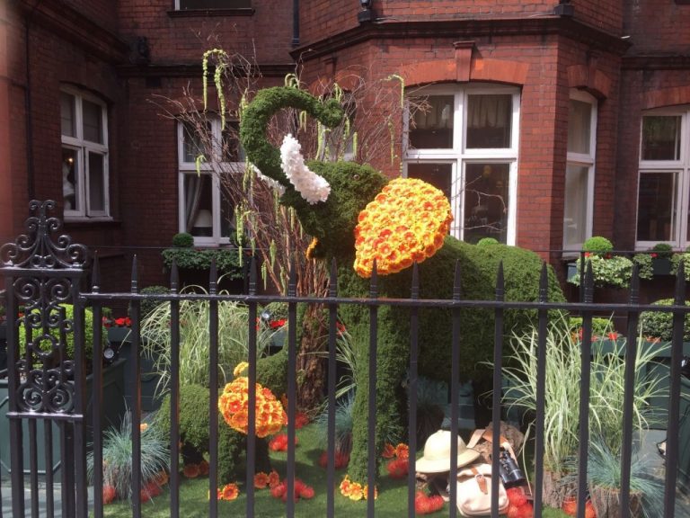 Topiary elephants at Chelsea in Bloom 2017