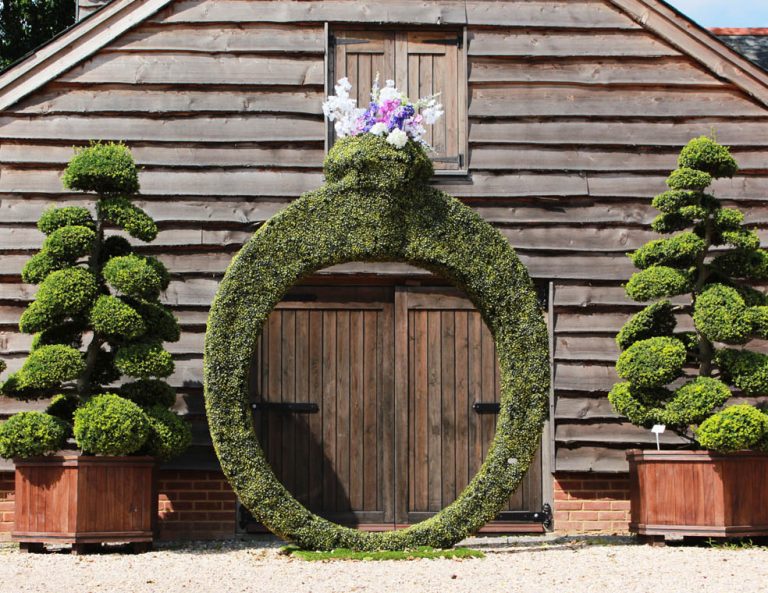 Giant three metre high topiary ring