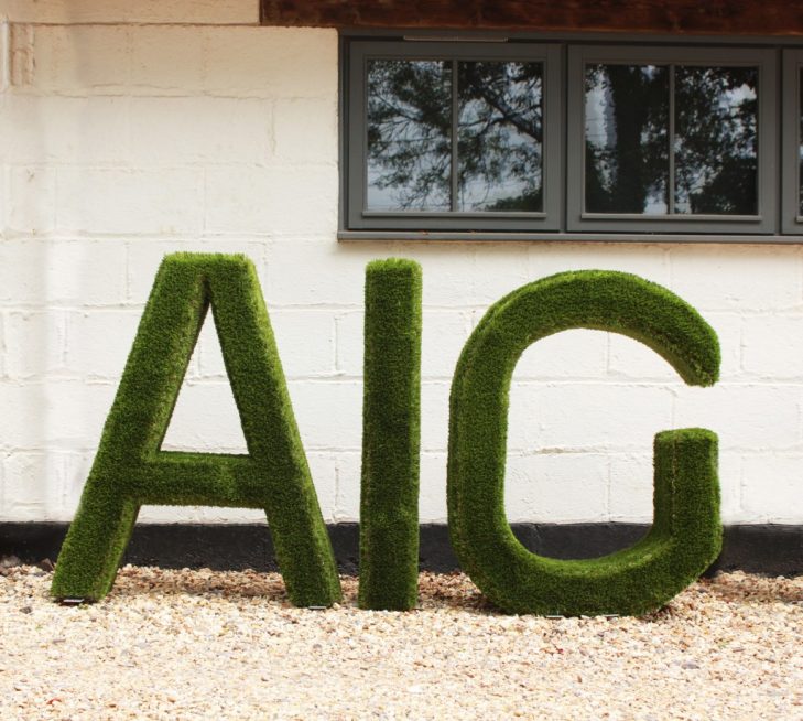 Artificial grass letters spelling out AIG