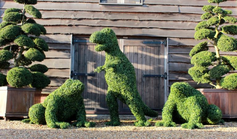 Artificial Boxwood T-Rex and Frogs
