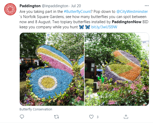 Paddington's Twitter post about Agrumi's butterflies