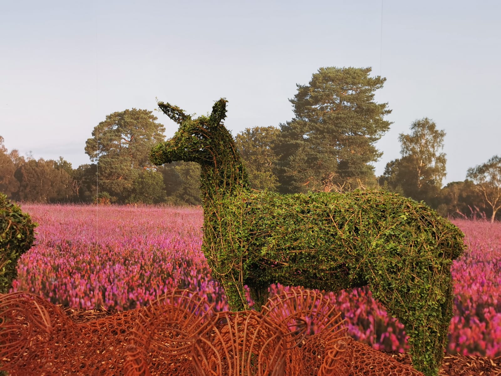 A topiary Hind Deer on Agrumi's RHS Chelsea exhibit