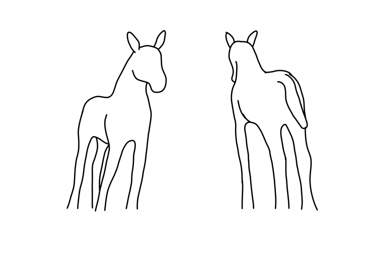 An outline of a foal
