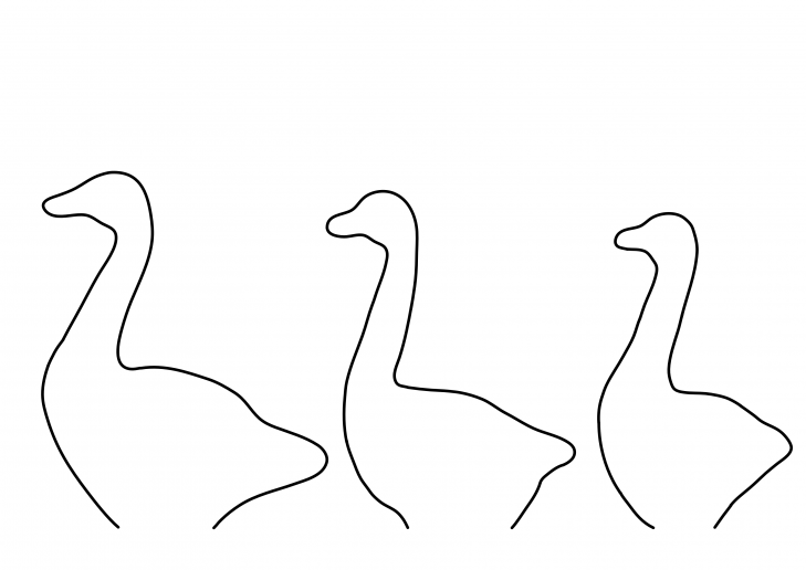An outline of some geese