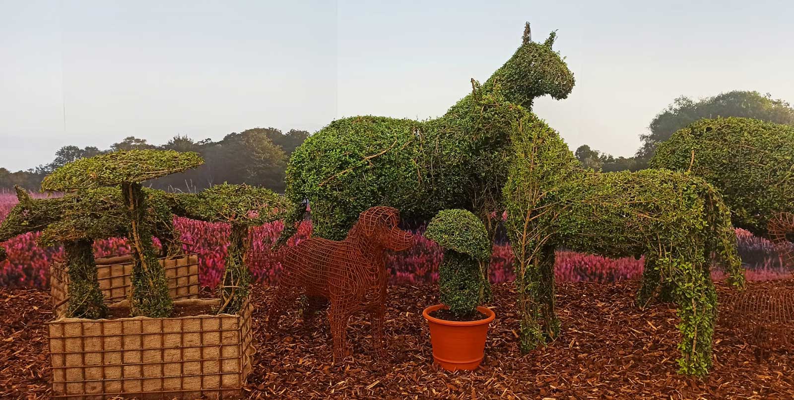 New Forest Ponies in topiary at the RHS Chelsea Flower Show