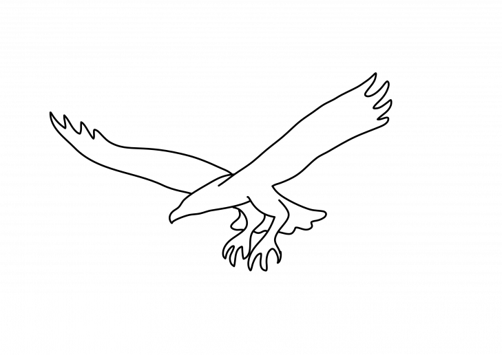 An outline of a Sea Eagle