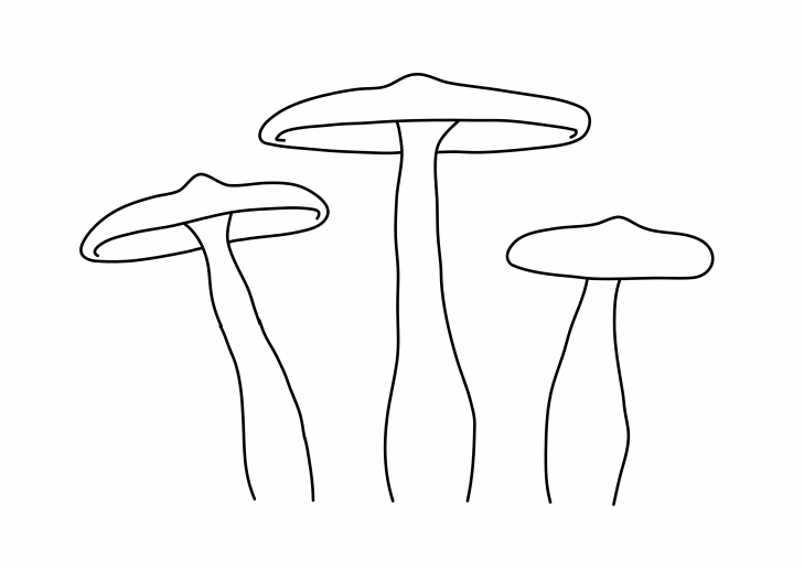 An outline of some toadstools
