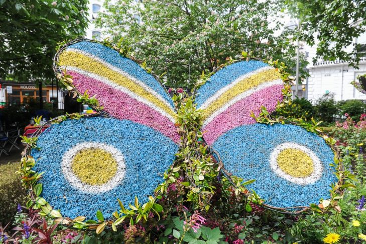 Topiary Butterfly at Norfolk Square Gardens