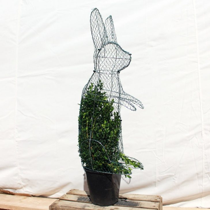 Rabbit shaped DIY Topiary frame