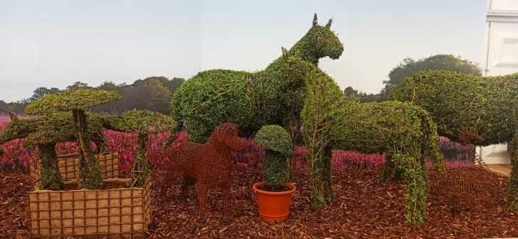 Topiary New Forest Pony family at RHS Chelsea 2021