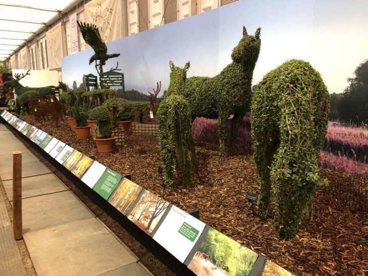 Topiary New Forest Ponies at RHS Chelsea 2012