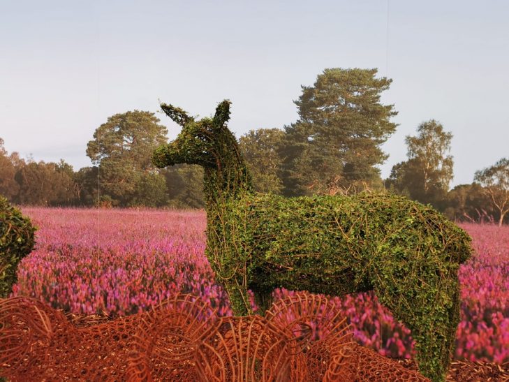 Topiary red deer hind at RHS Chelsea 2021
