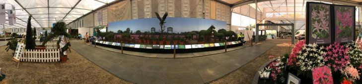 Wide angle view of the Agrumi exhibit at RHS Chelsea 2021