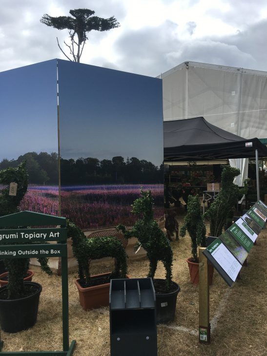 Agrumi Topiary Art at the New Forest & Hampshire County Show in 2022 - A topiary sea eagle rises about our hexagon of New Forest photos. Topiary horses line the right hand side of the photo