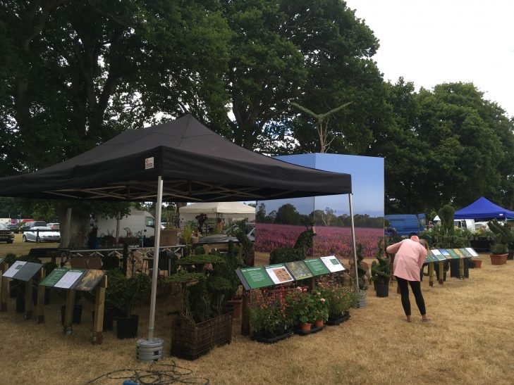 Agrumi Topiary Art at the New Forest & Hampshire County Show in 2022