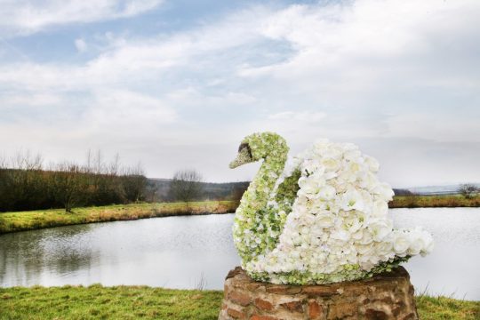 Floral Swan Topiary Sculpture