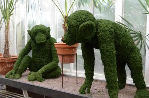 Topiary Chimpanzees for Sweden