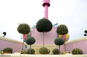 Bespoke topiary-Paultons Park-Standards-Agrumi    