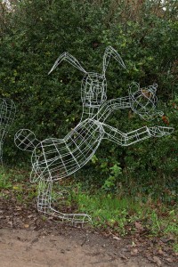 March Hare - Wire Frame   