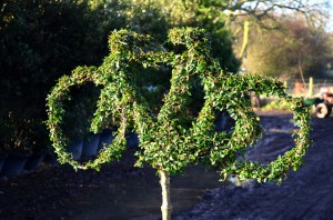 Topiary Bicycle 